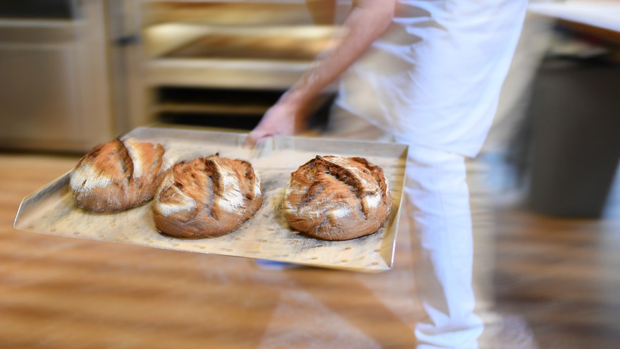 Der Grosse Brot Report Phoenix 